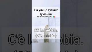 #туман #итальянскийязык #погода #италия #лес #девушка #italianoperstranieri #italian #italy