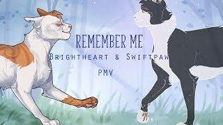 [WARRIORS] REMEMBER ME | Brightheart&Swiftpaw PMV