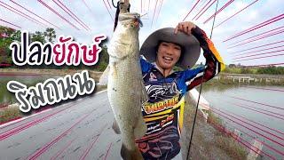 มันกระชากออกไป อย่างรวดเร็ว | เด็กตกปลา