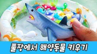 Raising sea animals in my poolㅣanimals animation for kids, animal namesㅣCoCosToy