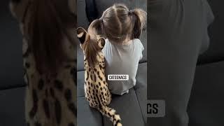 a serval kitten comforting a young girl