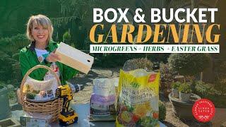 HOW FUN IS THIS! Planting Boxes and Buckets