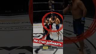 Не стал добивать соперника. Вот что значит уважение! #ufc #мма #aca #попмма #нокаут #бокс #хабиб