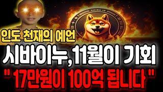 [시바이누 코인 전망]인도 천재의 예언 시바이누 11월이 기회 17만원이 100억 됩니다  #시바이누#시바이누코인 #밈코인 #시바이누 #비트코인 #뉴스 #이더리움