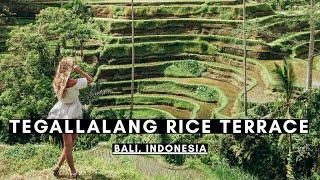 TEGALLALANG RICE TERRACE, BALI | BALI VLOG #046