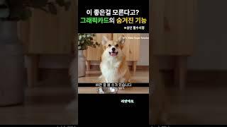 [ATOZ] 대부분 모르는 그래픽 카드의 숨은 기능?