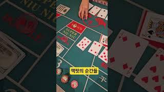 니우니우 잭팟의 순간들!  #카지노 #니우니우