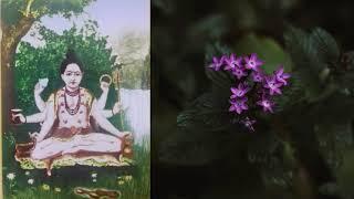 अभंग  रचना -प.प.श्रीमद् वासुदेवानंद सरस्वती स्वामी महाराज ,अति सुलभ दत्त नाम | Ati  Sulbah Datta Nam