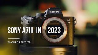 Is it Worth Buying the Sony a7III in 2023? Pros and Cons Explained!