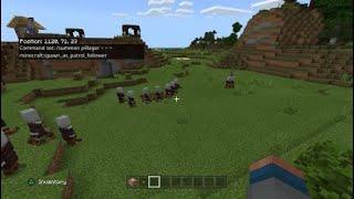 How to make illager patrol with commands in minecraft