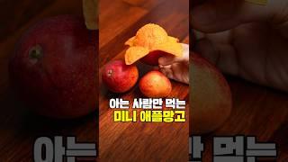그동안 아는 사람만 먹고 있던 가성비 끝판왕 망고 #미니애플망고