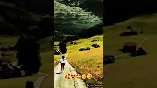 बांसुरी की धुन 