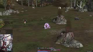 Lineage 2 - Bladedancer VS Silver Ranger - Elmorelab Teon x1 C4