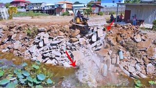 Best Action! Best Filling the Best Pond with a Small Bulldozer Pushing Large Rocks