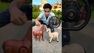 Naya Duita Rc Horse Unboxing#shorts