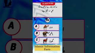 I know islamic quiz #islamicquiz#islamicshrts