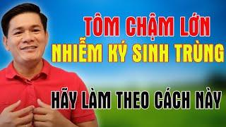 TÔM CHẬM LỚN, BỊ NHIỄM KÝ SINH TRÙNG - HÃY LÀM THEO CÁCH NÀY  | Trần Quang Huy Official