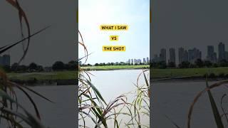 what I saw vs the shot-Strolling along the riverside lawn#nikon#Z6Ⅱ
