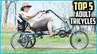 Top 5 Best Adult Tricycles In 2024