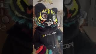 10 Fursuit facts | Facts about fursuits you might not know | fursuit facts everyone should know