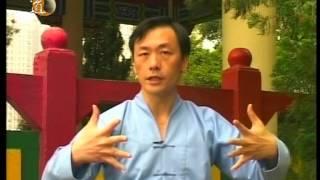 袁康就博士《養生修談》之太極站樁功 2004 Taichi Zhan Zhuang Gong by Dr. HC Yuen