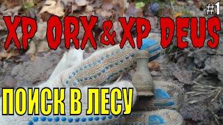 XP ORX и XP Deus | ПОИСК В ЛЕСУ | Часть 1