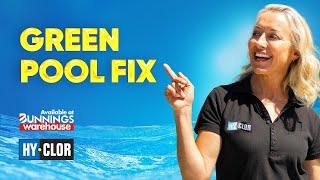 Green Pool Recovery - How to Fix a Green Pool -  Hy-Clor