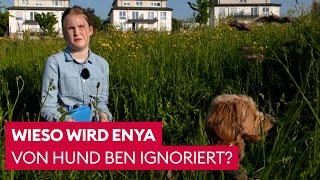 Familienhund wendet Tochter den Rücken zu | Der Hundeprofi