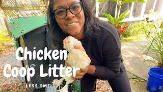 How to clean a chicken coop | New Litter in the Coop | Nestera coop review