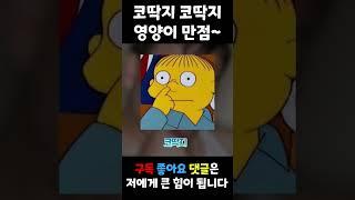 추억의 뇌절 노래 52편