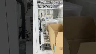 Automatic bag in box machine bag feeding into carton box equipment