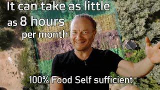 FollowUp with Alik Pelman (how to become food self sufficient on just 750m²)