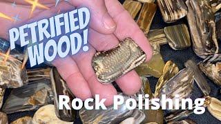 Petrified Wood Polishing