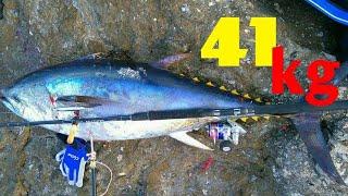 Shore jigging tuna 41+kg(THE UNEXPECTED GIANT)#shore jigging#tuna#Greece#