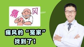 痛风的“冤家”找到了！｜【老安谈健康】