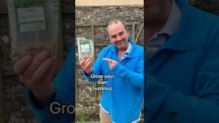 How to grow chickpeas from the supermarket. Based on my best selling book Grow Your Groceries