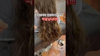 도저히 안되겠다 싶은 손상머리에 꼭 이렇게 펌 해보세요! #네이버스토어 #부티알 #히피펌