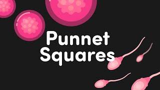 Punnet Square Practice