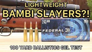 243 Winchester Federal PowerShok 80gr Ballistics Gel Ammo Test