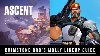 Brimstone Bro's Molly Lineup Guide - Ascent