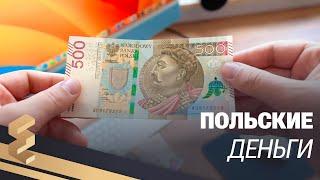 КАК ВЫГЛЯДЯТ ПОЛЬСКИЕ ДЕНЬГИ - ЗЛОТЫ - EUROPEWORK PRO