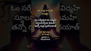 Shiva Rudra Gayatri#powerfulmantra #cover #devotional #omnamashivaya #