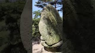 [대한민국 보물 제666호] 경주 남산 삼릉계곡에 있는 석조여래좌상