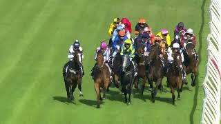 Winterbottom stakes 2024 - OVERPASS (3YO+ WFA G1) Group 1 Ascot 30 November