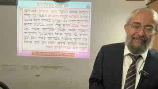 פרשת תולדות - סוד עניין חפירת ה״בארות״ , והאובססיה של ה״פלישתים״ לסתום אותם - הרב ינון קלזאן