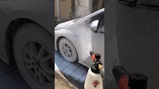 Snow Foam #carcleaning #asmr #detailing #carwash #automobile #satisfying #carshampoo