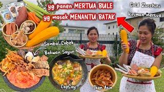 DAPAT KIRIMAN DARI MERTUA: GOLD ZUCCHINI PANEN DIKEBUN SENDIRI diolah jadi CAPCAY + SAMBAL COBEK‼️