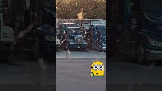 The story of the one minion#story #minions #trucker #life #travel #roadtrip #vibes #like #funny