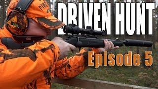 DRIVEN HUNT EPISODE 5 - Wild boar & deer in Germany (Drückjagd)