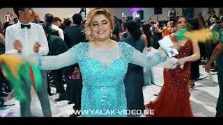 Havva & Zinnar - highlights - Yalak Video